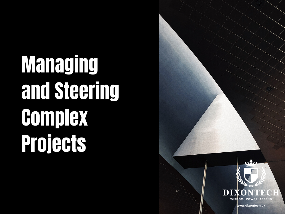 Managing and Steering Complex Projects